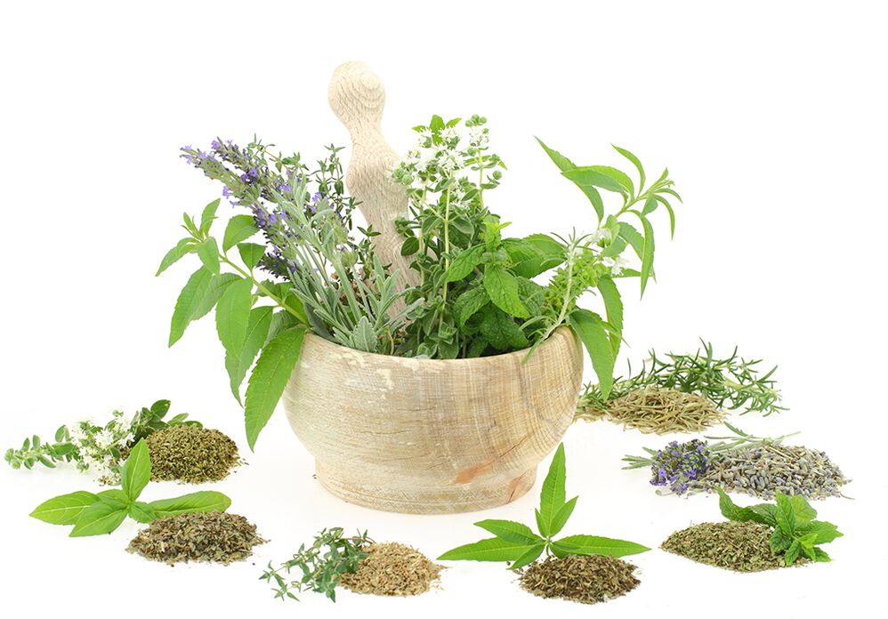 Extraits de plantes entrant dans la composition du produit