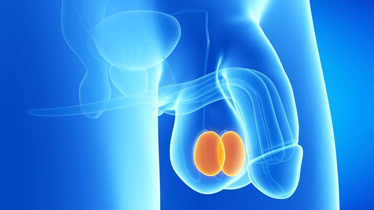 coût de la chirurgie d'agrandissement du pénis